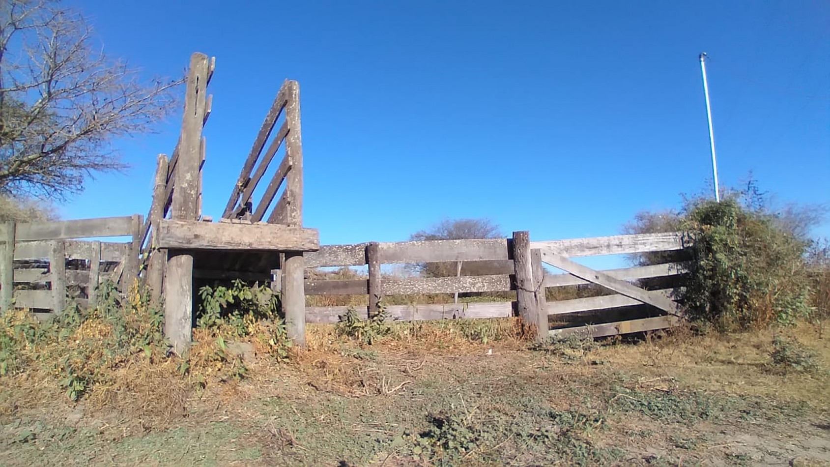 Campo en venta: 800hectareas armadas.