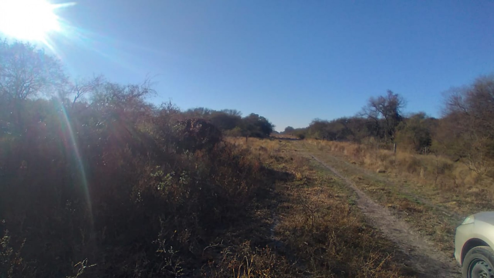 Campo en venta: 800hectareas armadas.