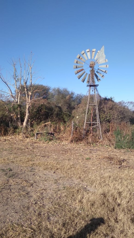 Campo en venta: 800hectareas armadas.