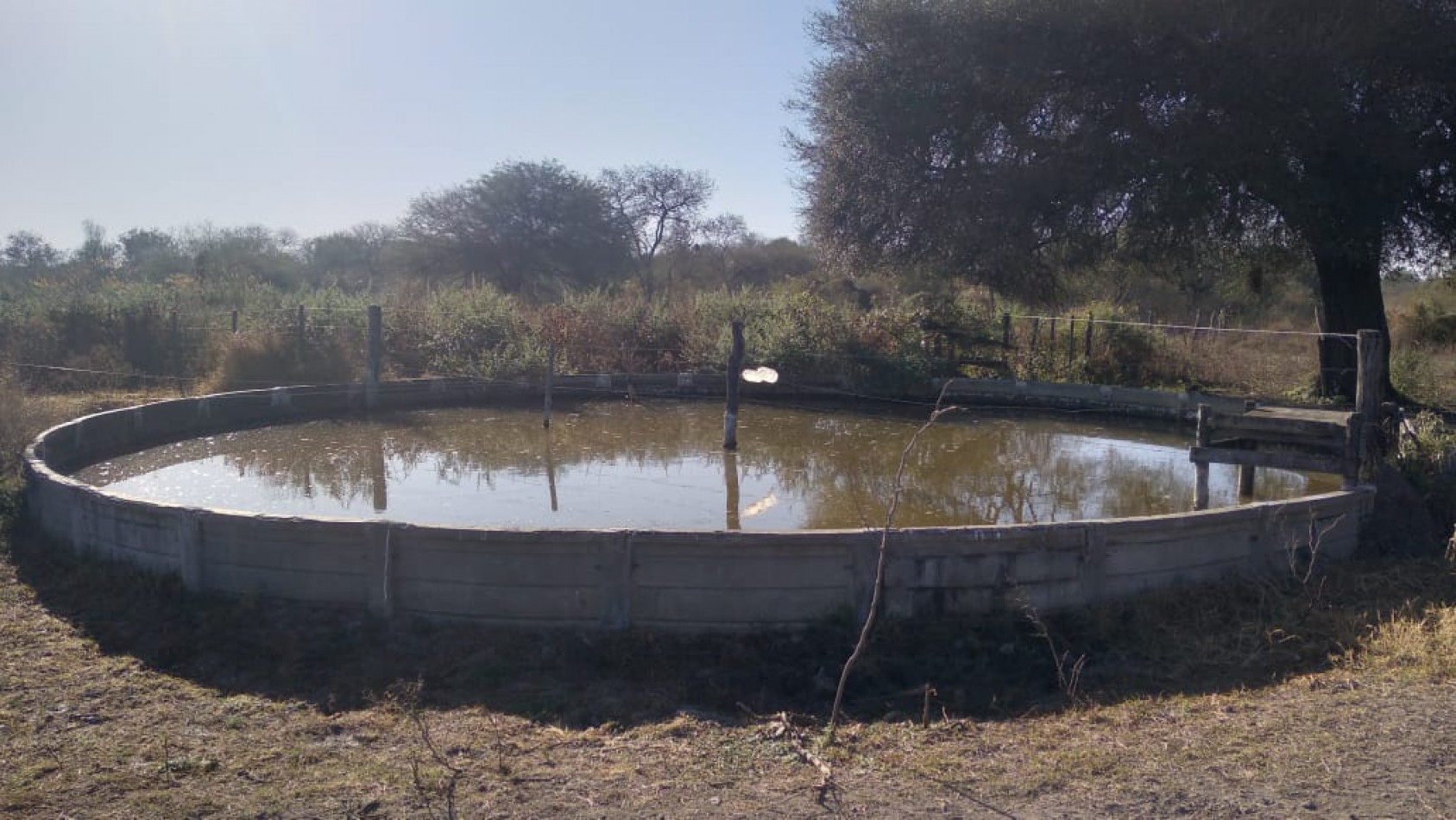 Campo en venta: 800hectareas armadas.