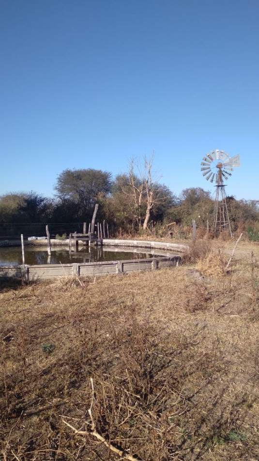 Campo en venta: 800hectareas armadas.