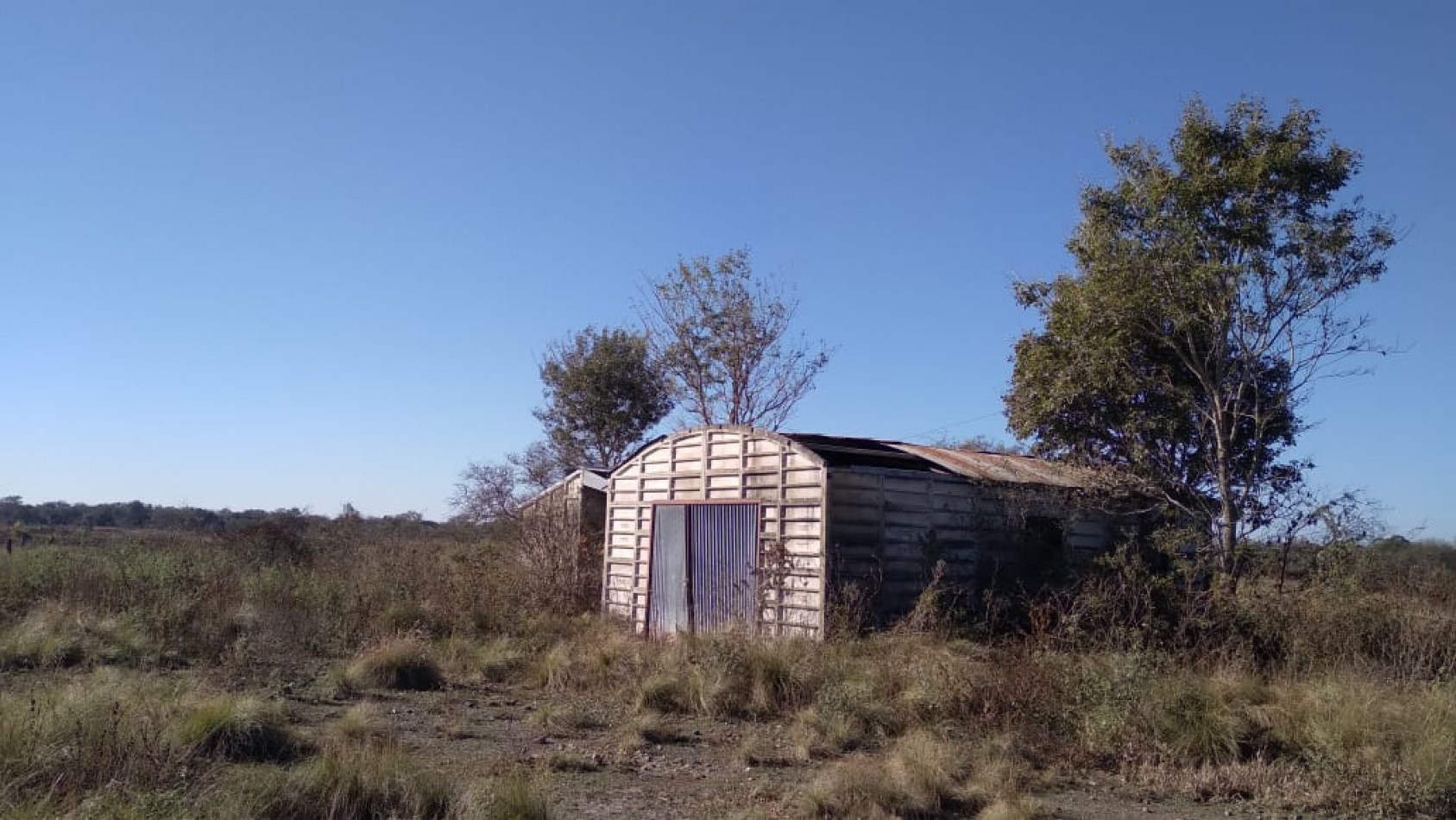 Campo en venta: 800hectareas armadas.