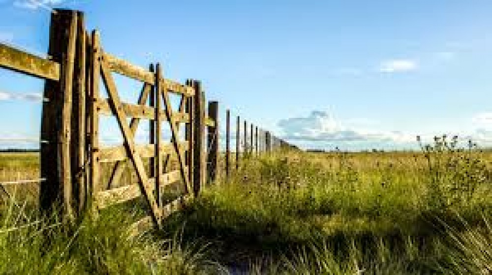 Mercado inmobiliario rural: ¿Por qué el 2026 asoma como un gran año para invertir en tierra?