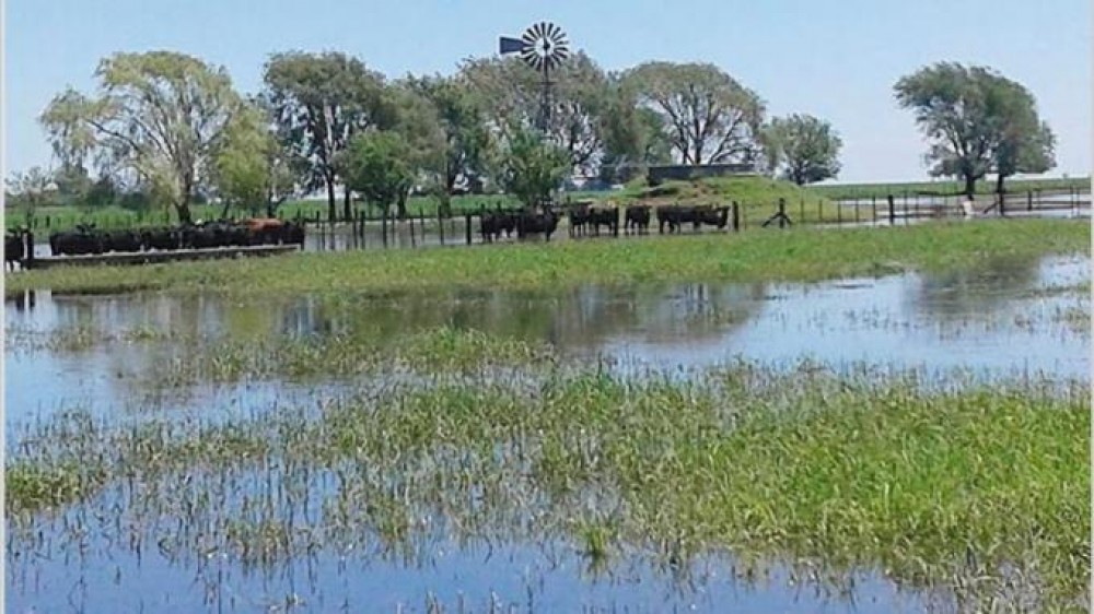 ¿Se nos viene El Niño “Godzilla”? Aumentan las probabilidades de un fenómeno fuerte para 2026