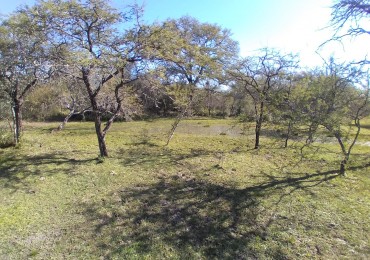 Oportunidad de inversion: Campo de 74 hectareas en La Sarita, Santa Fe.