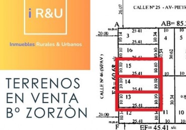 Terrenos en Venta: Barrio Zorzon #Reconquista