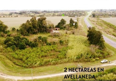 Campo en Venta - 2has Avellaneda