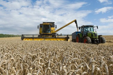 La pesada carga fiscal sobre el campo: el Estado se queda con más de la mitad de la renta