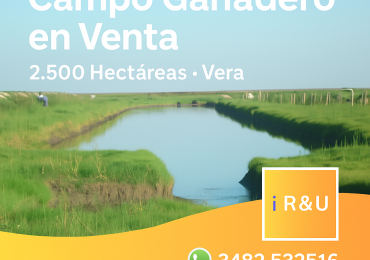 Campo en Venta - 2.500 Has 