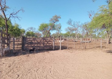 Campo Ganadero 800 Has - Tartagal 