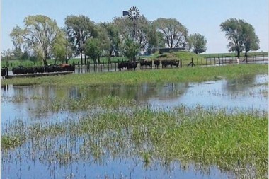 ¿Se nos viene El Niño “Godzilla”? Aumentan las probabilidades de un fenómeno fuerte para 2026