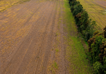 CAMPO MIXTO EN VENTA — COLONIA DURAN, NORTE DE SANTA FE
