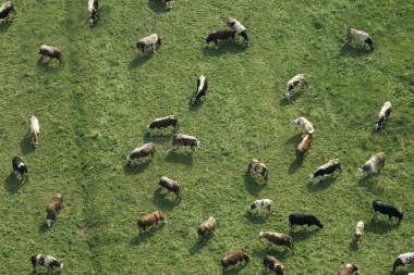 Drones en ganadería: cómo la tecnología cambia la forma de mostrar y gestionar el campo