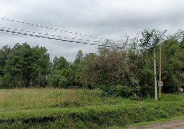 Terreno en Barrio La Loma - Reconquista, Santa Fe