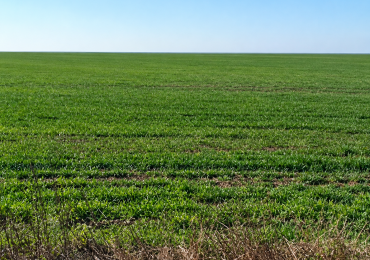 Campo agricola en Venta: Santiago del Estero